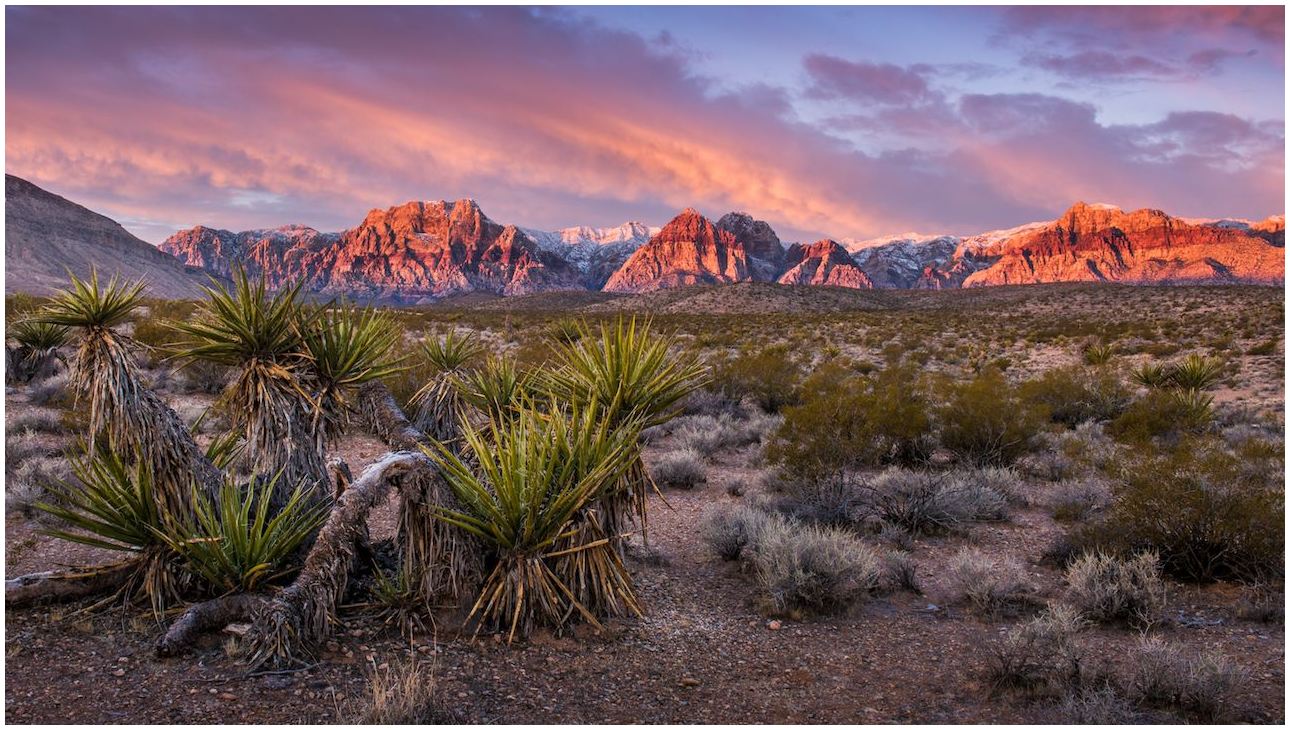 Featured image of post Las Vegas Mountains